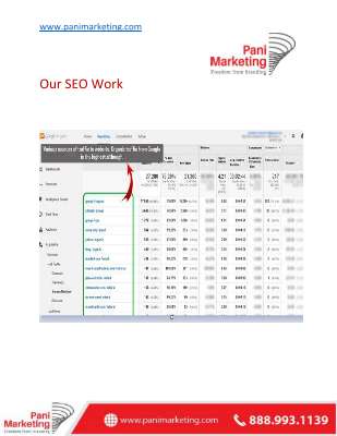 Pani Marketing SEO Proof.pdf