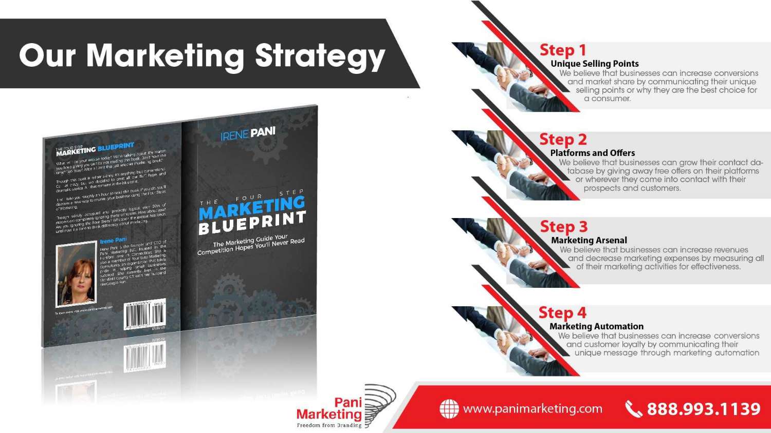 Pani Marketing - Consulting, Marketing Strategy. (continue Portfolio).pdf
