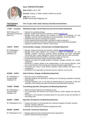 CV+Cristina+Popa_EN.pdf