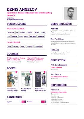 DenisAngelov_CV.pdf