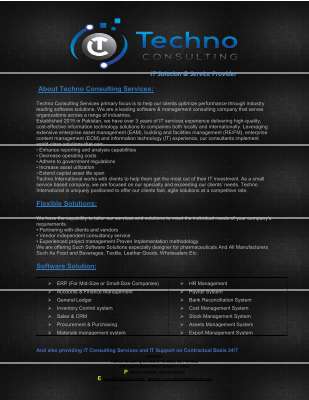 Techno Consulting Services.pdf
