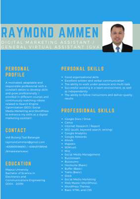 Raymond Ammen - Resume.pdf