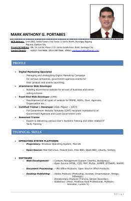 CV_(Mark Portabes)_Updated_January_2019.pdf