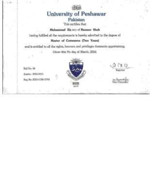 degree m zia.pdf