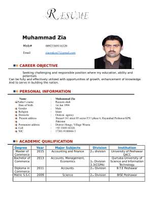 pdfziaaa cv 222 (1) (1).pdf