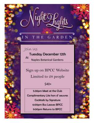 NIght LIghts Flyers.pdf