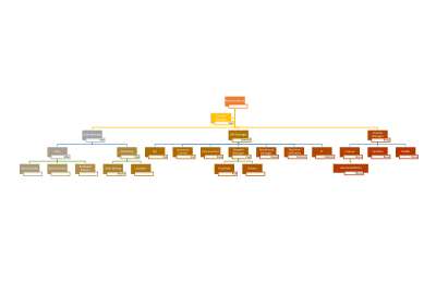 organisational_chart.pdf