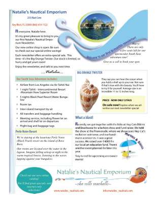 Example 5 - Newsletter.pdf