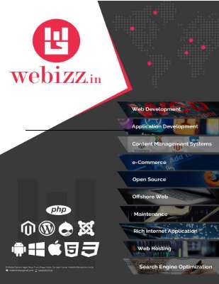Company Portfolio -Webizz_India.pdf