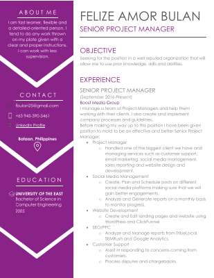 CV_FELIZE AMOR S. BULAN.pdf