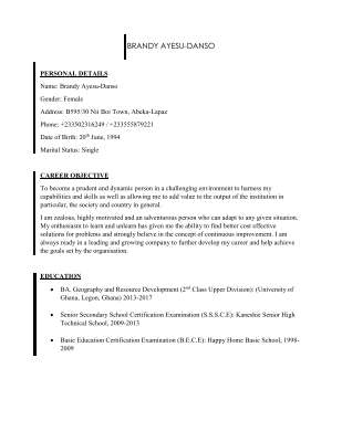 My digital CV pdf.pdf