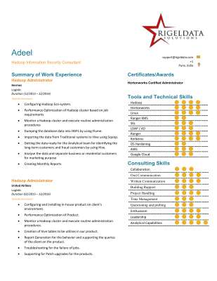 Rigeldata_Hadoop Information Security Consultant_Adeel_V1.0.pdf