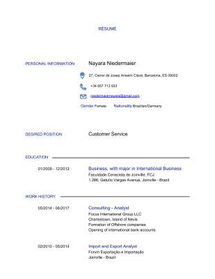 CV NAYARA ENGLISH.pdf