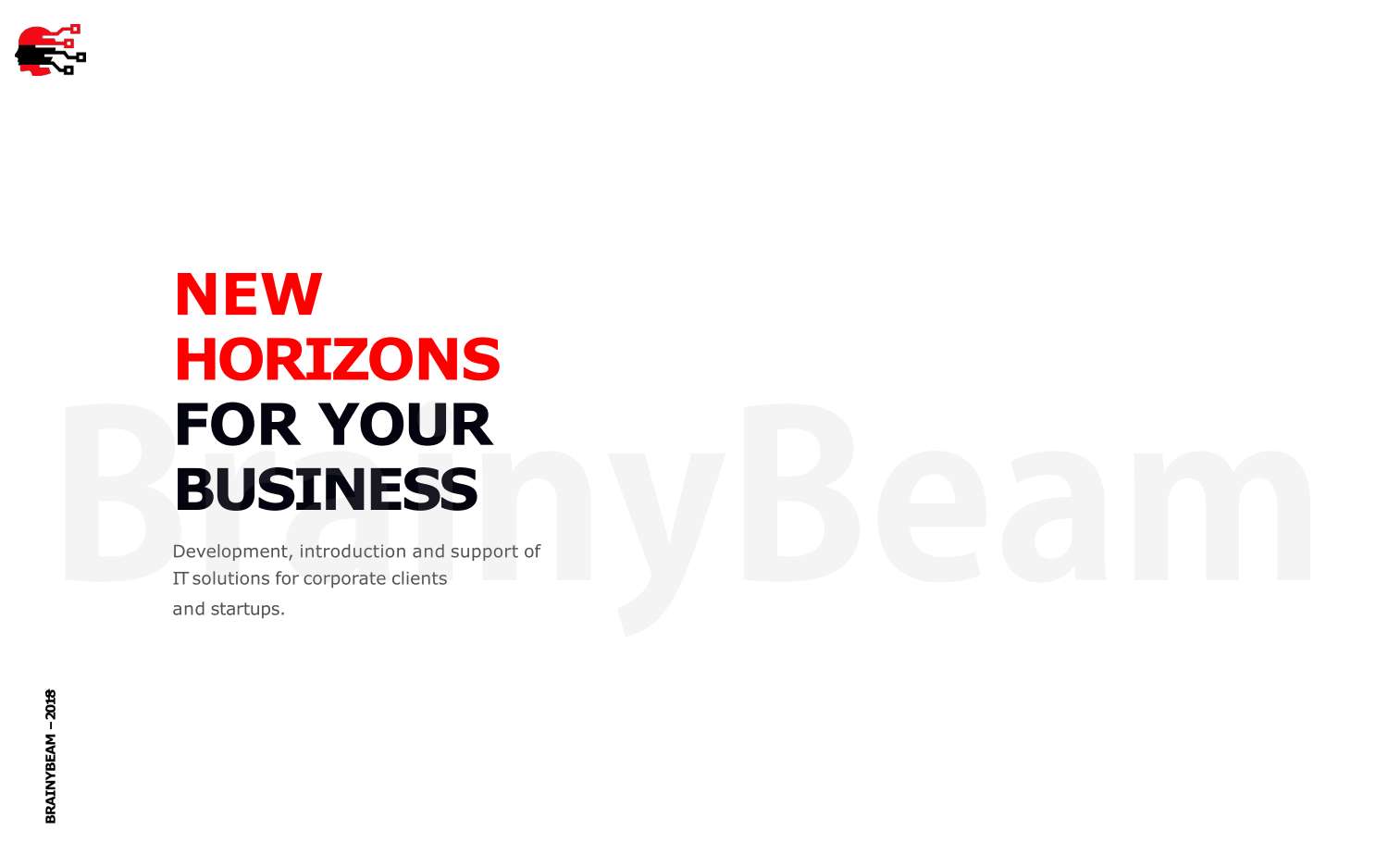 BrainyBeam Portfolio 2018_PDF file.pdf