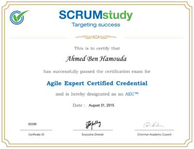 Agile Expert Certification.pdf