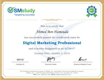 Digital Marketing Professional.pdf