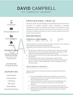 David Campbell Resume Template 0.5.pdf
