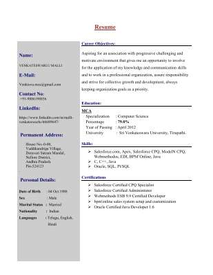 Salesforce CRM, CPQ and Integration Expert.pdf