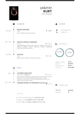 Ça_atay Kurt-cv (1).pdf