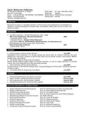 Aymen CV.pdf
