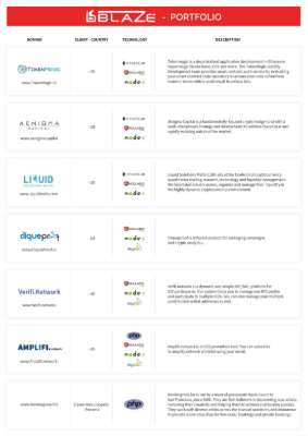 Blaze.Team Portfolio V4.pdf