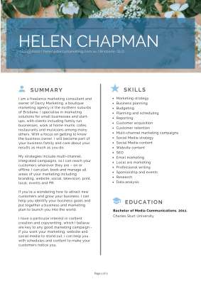 Helen Chapman Professional Profile.pdf