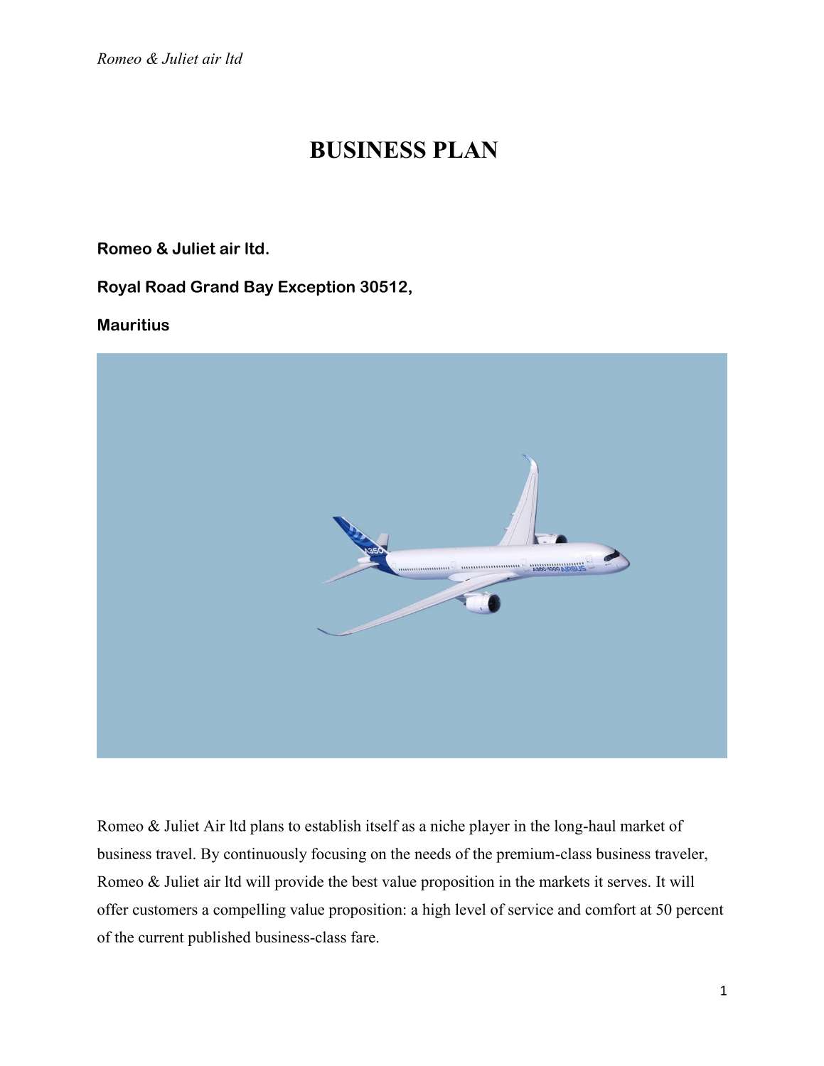 BUSINESS PLAN.Airline-.pdf