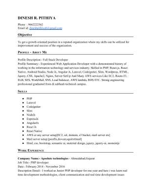 resume - dinesh_pithiya (2).pdf