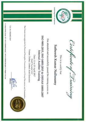 internal Auditor Certificate.pdf