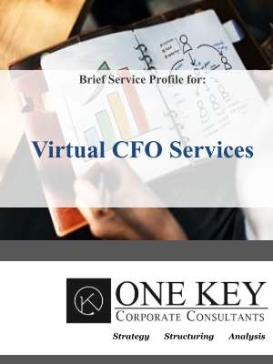 Virtual CFO.pdf