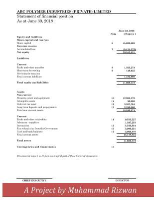 Financial statements.pdf