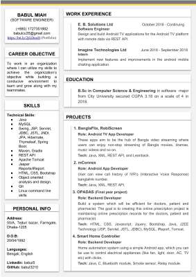 Babul_CV.pdf