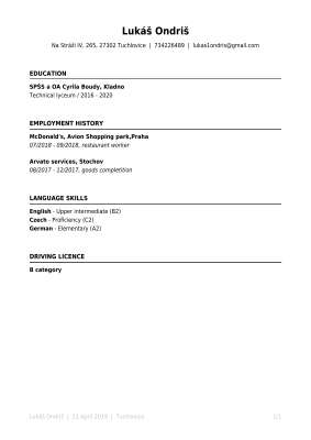 PROFESIACZ_CV_2990760_en.pdf