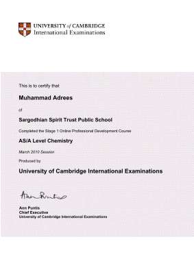British council certificate.pdf
