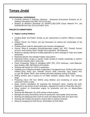 PROFESSIONAL EXPERIENCE.pdf