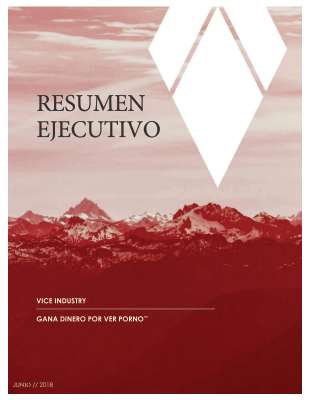 VIT Executive Summary_spn.pdf