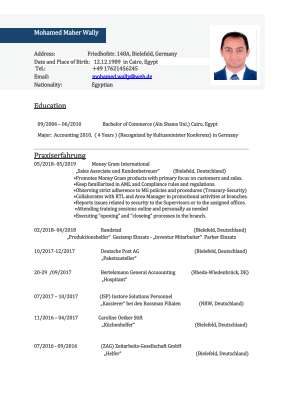 Mohamed Wally CV English.pdf