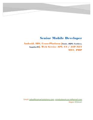 Portfolio - mindsatwork.pdf