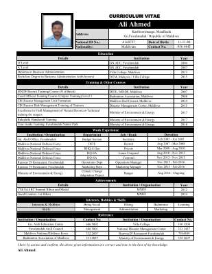 Ali Ahmed CV2.pdf