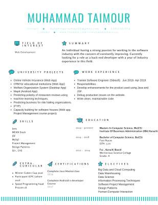 Muhammad Taimour.pdf