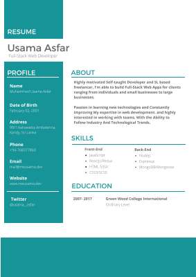 usama's resume.pdf
