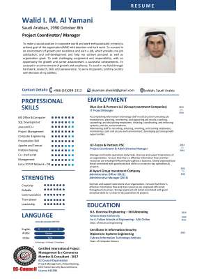 EC Engineer_CV_Updated.pdf