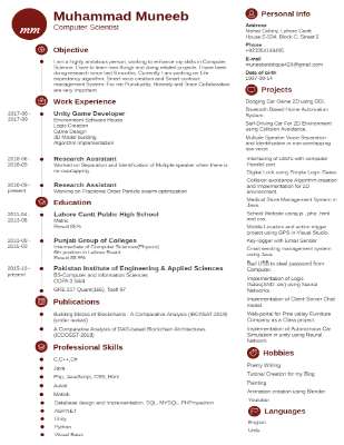 Resume_CV Muneeb Muhammad.pdf