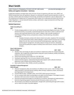 CV - Safety and Logistics Consultant.pdf