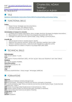 CV_English_ADAM Salesforce Admin-Testing.pdf