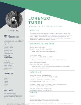 CV Lorenzo Turri.pdf