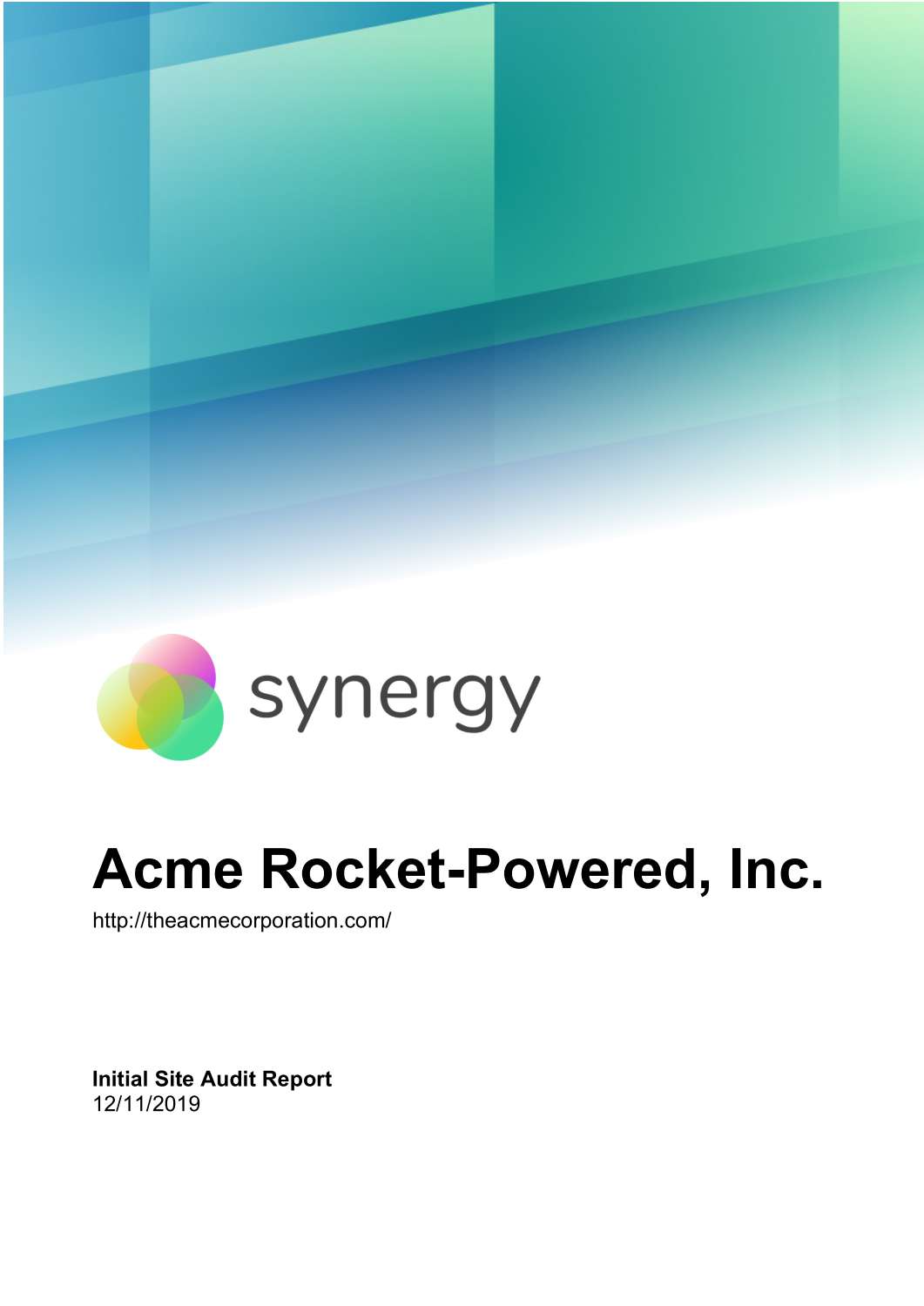 Acme Rocket-Powered, Inc. - Initial Site Audit.pdf