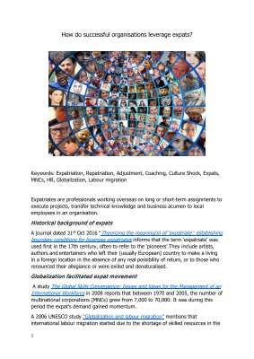 Expat Challanges.pdf