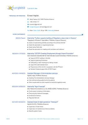 Ernest Hajdini CV.pdf