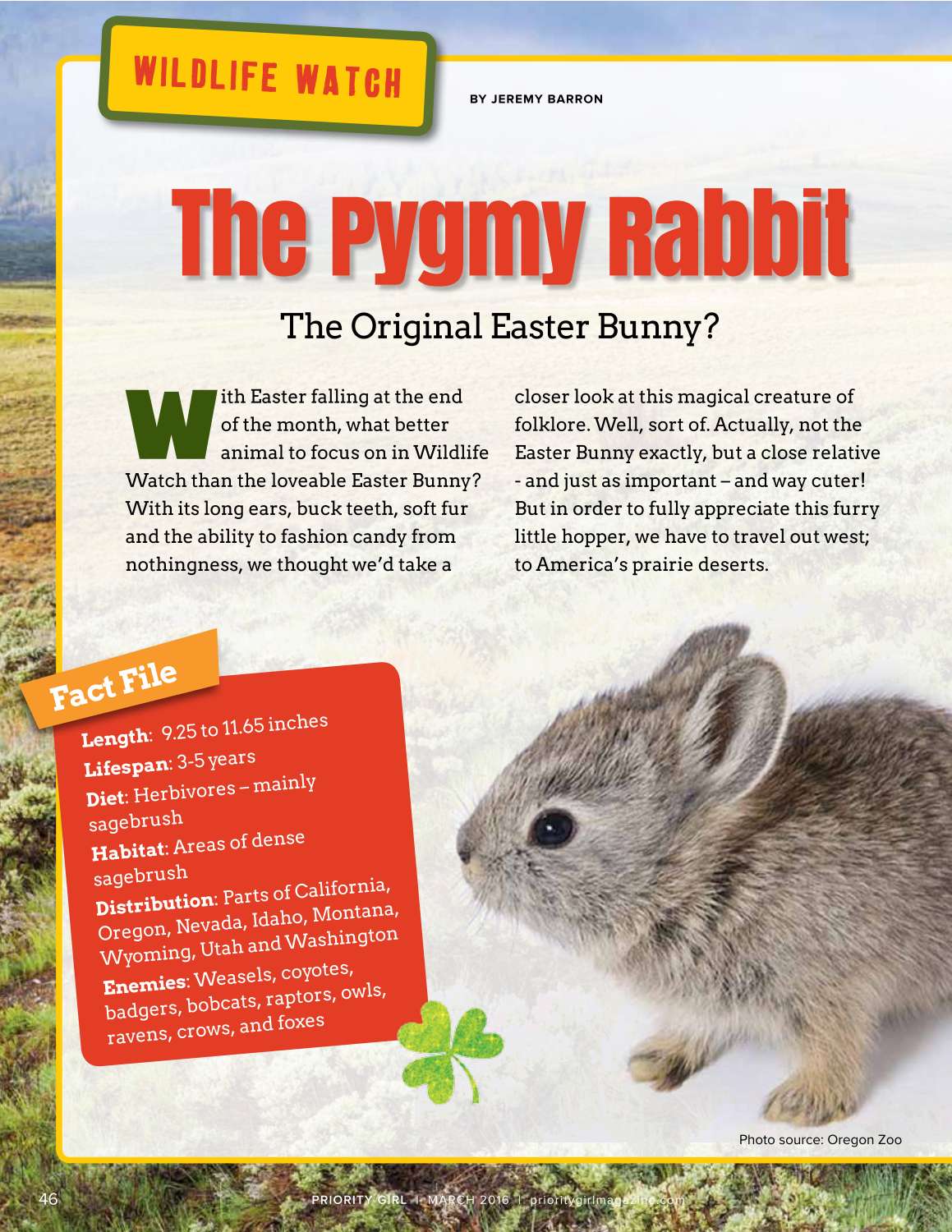 Example of writing and editing - first article written by me, the rest commissioned, edited and proofread by me.pdf